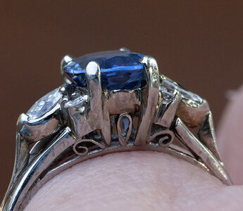 SapphireAF9W6461-500.jpg