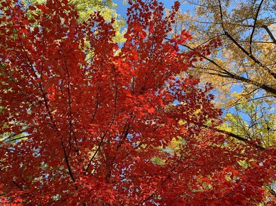 IMG_1173.jpg