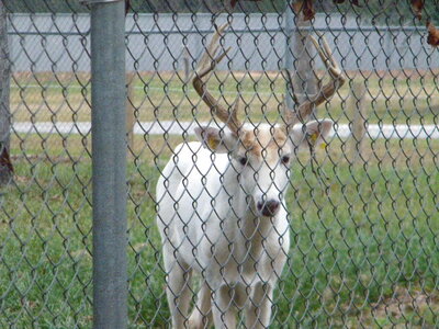 DSCN3504.JPG