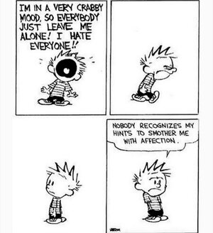 calvinandhobbessad.jpg