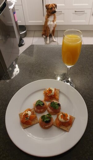 Nibbles_2021.jpg