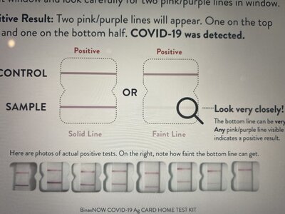 E44BDB53-3631-445D-A98F-2D6A16A3C751.jpeg