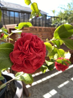 8738937F-1A29-4487-AACE-09129D07A78B.jpeg