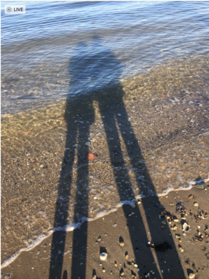 silhouettewintermissyandgreg.png