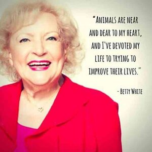 bettywhiteanimals.jpg