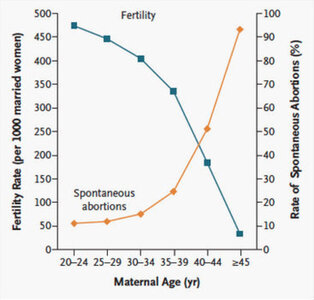 fertility3.jpg