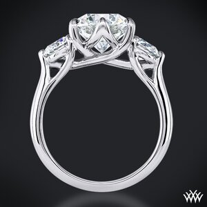 Butterflies-3-Stone-Engagement-Ring-in-Platinum_gi_2051_th-31613.jpeg Butterflies-3-Stone-Engagement-Ring-in-Platinum_gi_2051_th-31613.jpeg