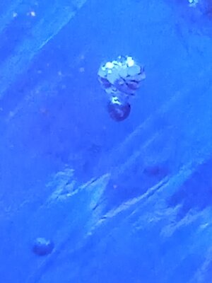 IMG_20220126_131448.jpg