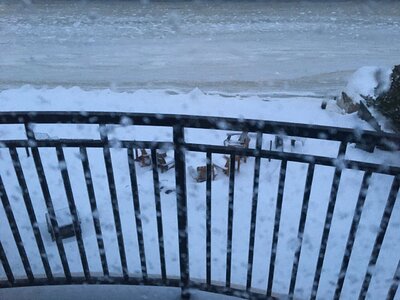 january2021snowstomr.JPG