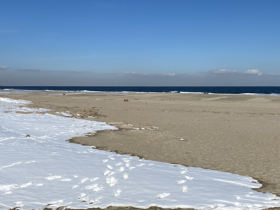 snowonbeachsandyhookfeb2022.png