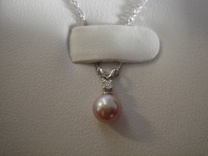 DSC03329-vi.jpg