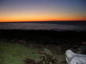 DSCN5426sm.jpg