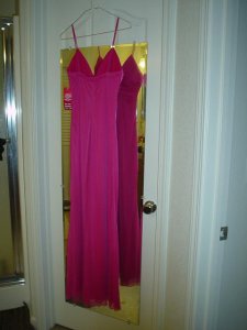 SpagStrap FuschiaDressBack02.JPG
