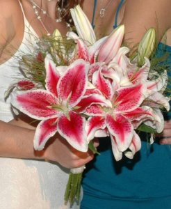 beachwedding.jpg