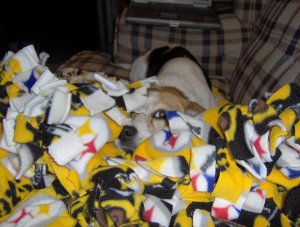 Brandy Pictures 026.JPG