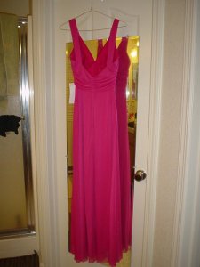 Fuschia Back01.JPG