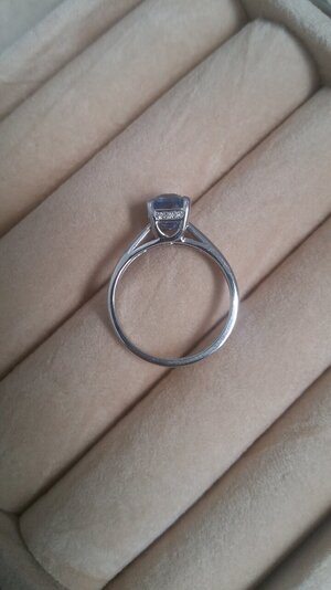 Ring 1 (2).jpg Ring 1 (2).jpg