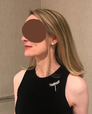 Tiffany Dragonfly Brooch at Hotel 2.jpg