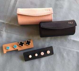 1 Leatherology Cases ALL with Earrings.jpg