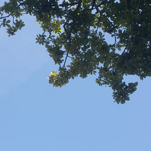 20220228_124046.jpg