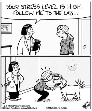 labplease.jpg