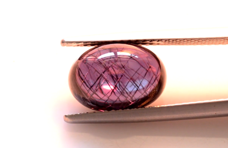 cc garnet (1).png cc garnet (1).png