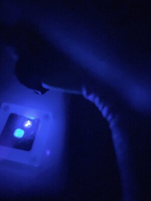 lighttest1.jpg