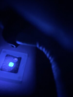 lighttest2.jpg
