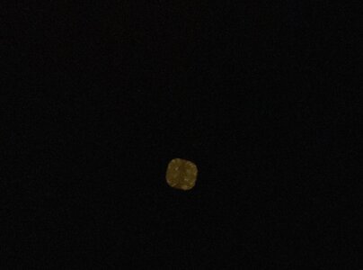 lighttest3.jpg