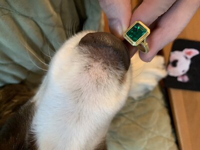 DKJ emerald_2016.JPG DKJ emerald_2016.JPG