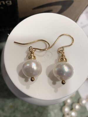 cc moonglow ear.JPG cc moonglow ear.JPG