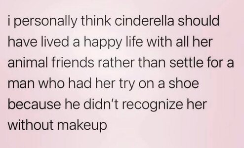 cinderellagotheotherroute .jpg