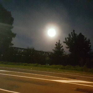 20220319_063558_001.jpg