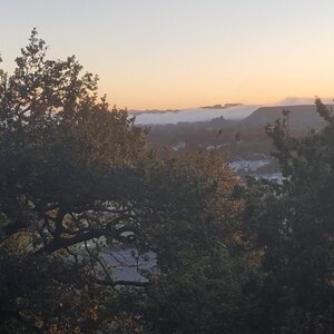 20220319_072717.jpg