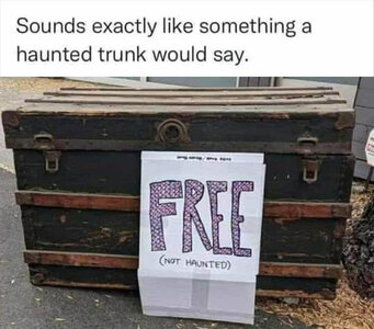 you-see-a-haunted-trunk-meme.jpg