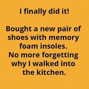 insoles.gif