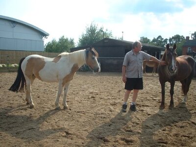 Bryan & the 3 horses.jpg