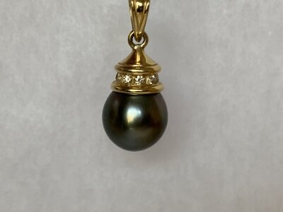 tahit on wire_2403.JPG