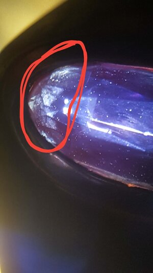 20220411_195719.jpg