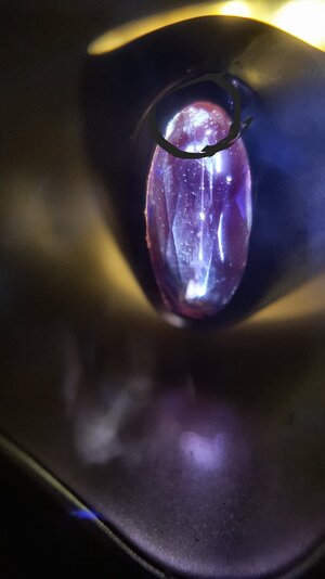 20220411_195601.jpg