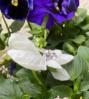purple ring 2.jpg