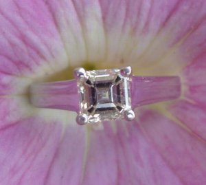 flower shots 012.jpg