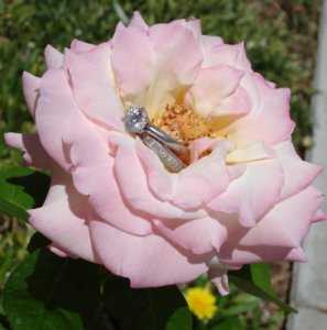 DSC00902.jpg