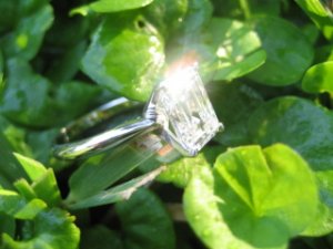 ring glinting in dollar weeds.jpg