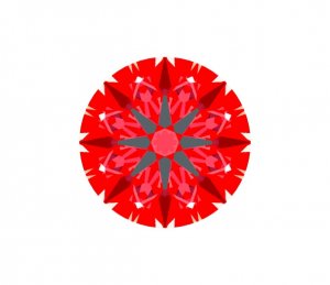 N1750-6134_IS.jpg