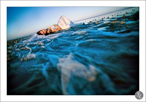 beach5.jpg