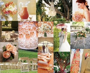 Peach and Champagne 2.JPG