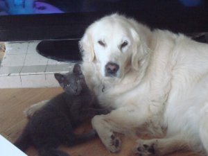 bestbudhugs1.jpg