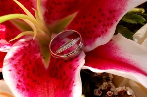 rings lily.jpg rings lily.jpg