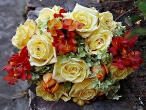yellow orange greeenG.jpg